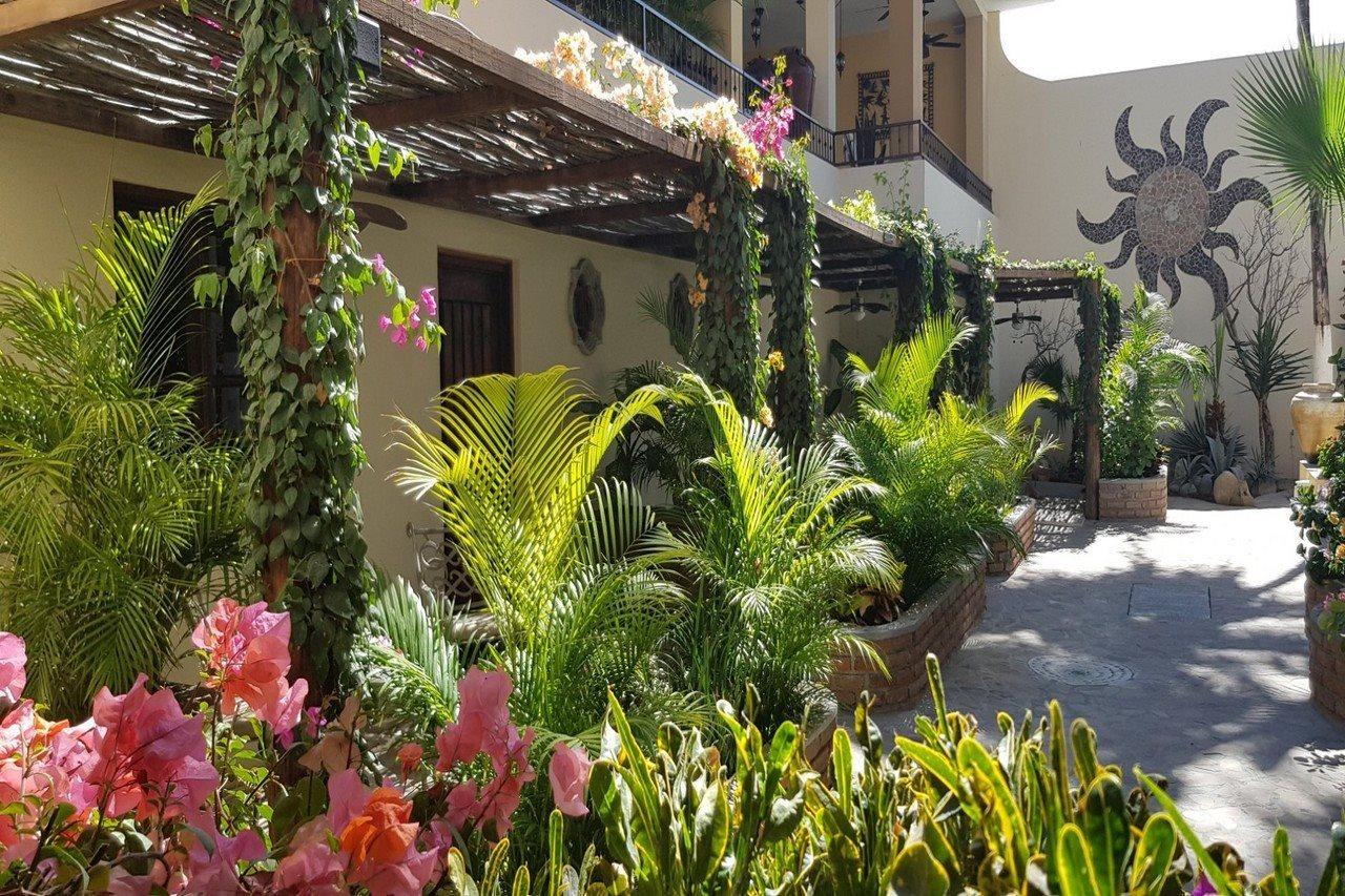 Posada De Las Flores לה פז מראה חיצוני תמונה