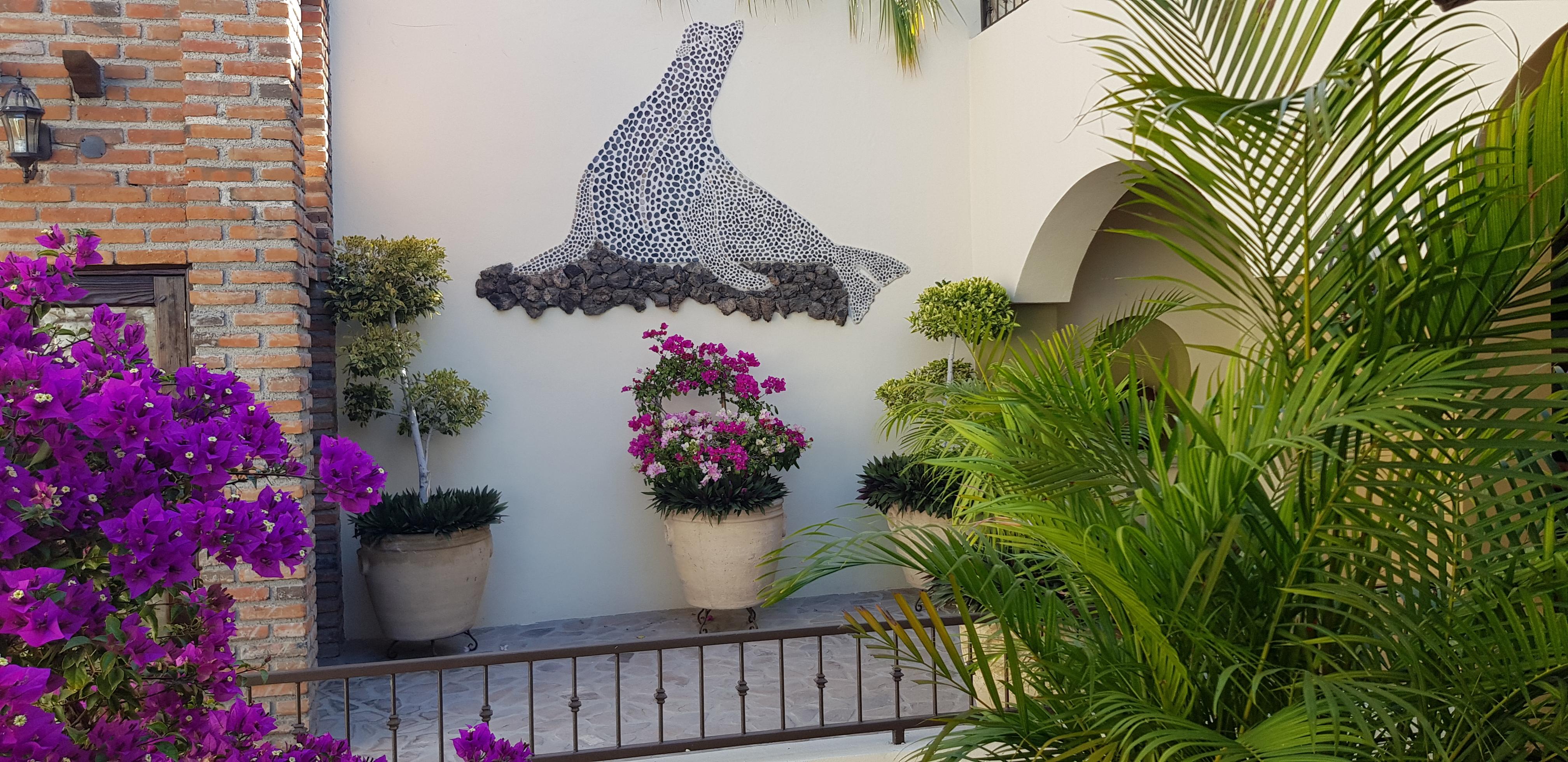 Posada De Las Flores לה פז מראה חיצוני תמונה
